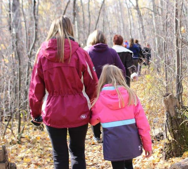 lakeside-haven-impact